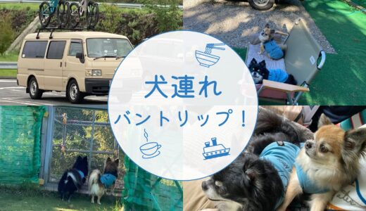 DIY車中泊仕様バンで初めての犬連れバントリップ！長野2泊3日