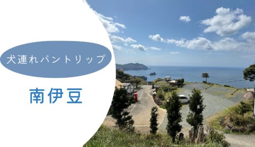 伊豆下田犬連れバントリップ！